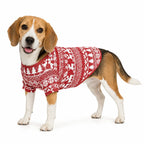 Beagle wearing a red Christmas shirt with white trees, reindeer and Fair Isle patterns.