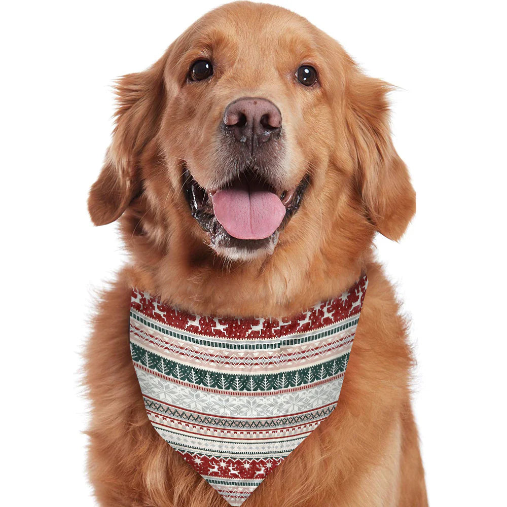 Golden Retriever wearing a matching grey Fair Isle reindeer pattern Christmas dog bandana.