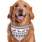 Golden retriever smiling on a white background wearing a matching white, red, and green Fair Isle reindeer pattern pet bandana.