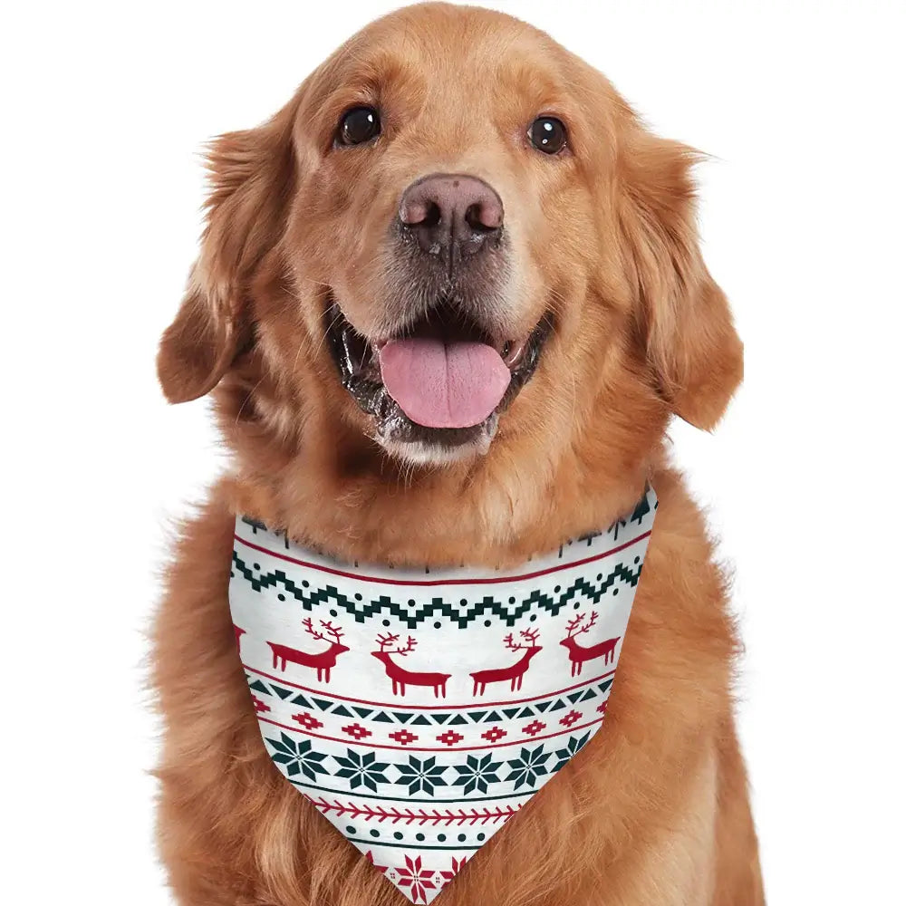 Golden retriever smiling on a white background wearing a matching white, red, and green Fair Isle reindeer pattern pet bandana.
