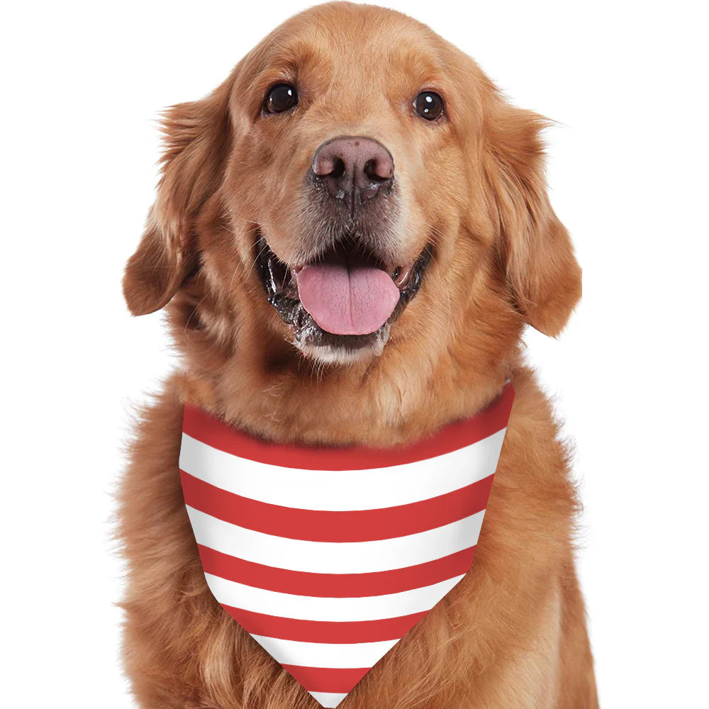 Happy Golden Retriever smiling and wearing a matching red and white striped Christmas pet bandana.